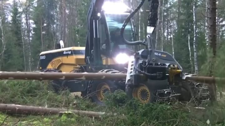 Эффектная машина для вырубки деревьев 
