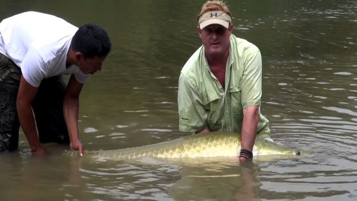 Когда этот мужчина отправился порыбачить на Амазонку, то даже не ожидал выловить такого монстра! 