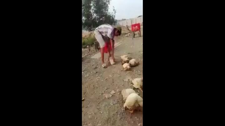Вьетнамский стиль обезглавливания курицы 