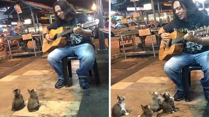 Малазийский уличный музыкант нашёл своих самых преданных слушателей 