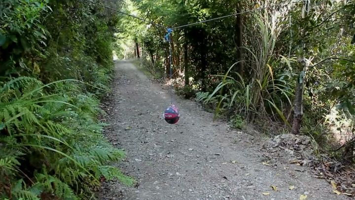 Что произойдет, если оставить мячик для игры в тетербол в лесу 