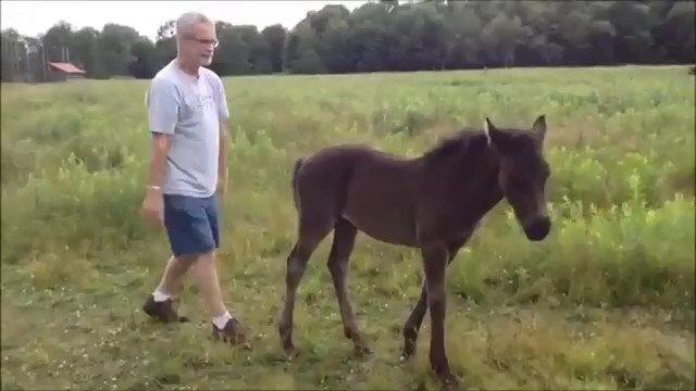 А ну-ка, не прекращай чесать! 