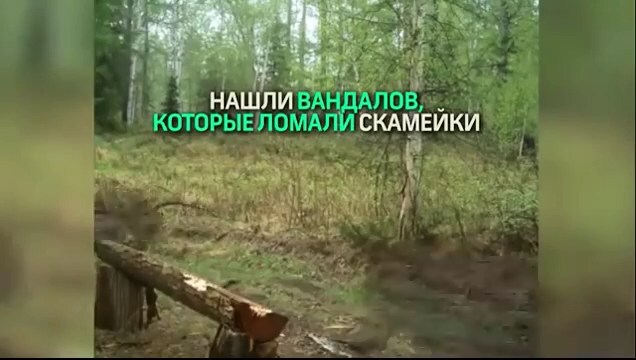 Кто ломает скамейку в заповеднике 