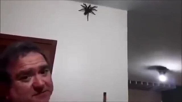 Убраем паука со стены 