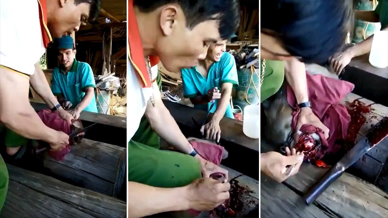 Вьетнамцы едят обезьяний мозг 