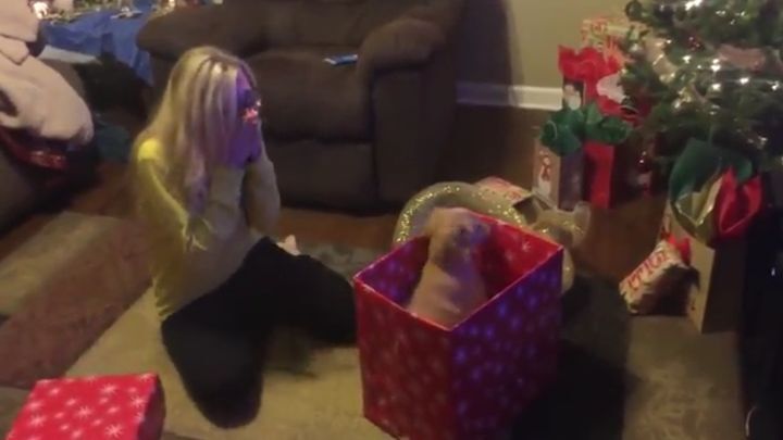 Трогательная реакция девушки, получившей в подарок на Рождество щенка 