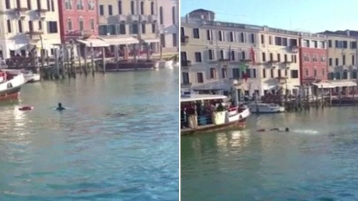 Африканский беженец утонул в Венеции под смех и крики толпы 
