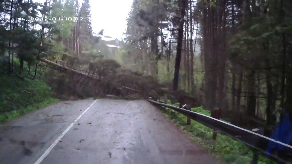 В Словакии деревья внезапно стали падать на дорогу 