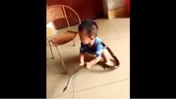 Маленький мальчик из Китая беспечно играет со змеёй 