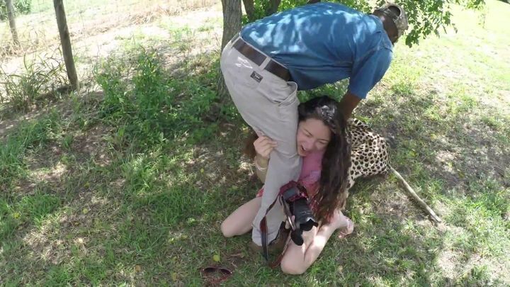 Гепард напал на туристку в заповеднике в ЮАР 