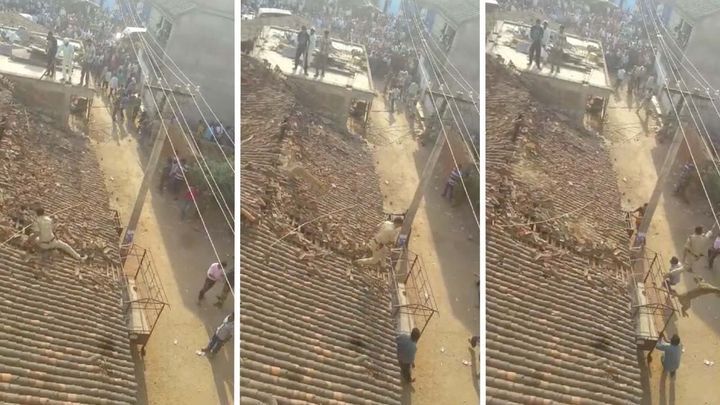 Индийскому лесничему пришлось прыгать с крыши, чтобы спастись от леопарда 