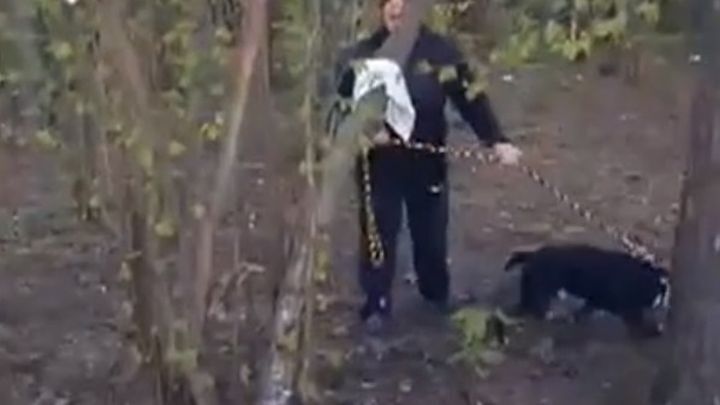 Хозяйка питбуля пригрозила отдыхающим в лесу расправой с помощью пса 