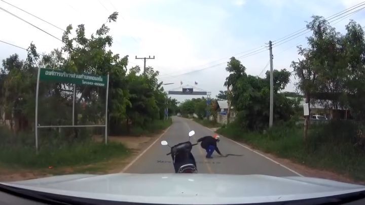 Тайский мотоциклист поймал ужин на дороге 