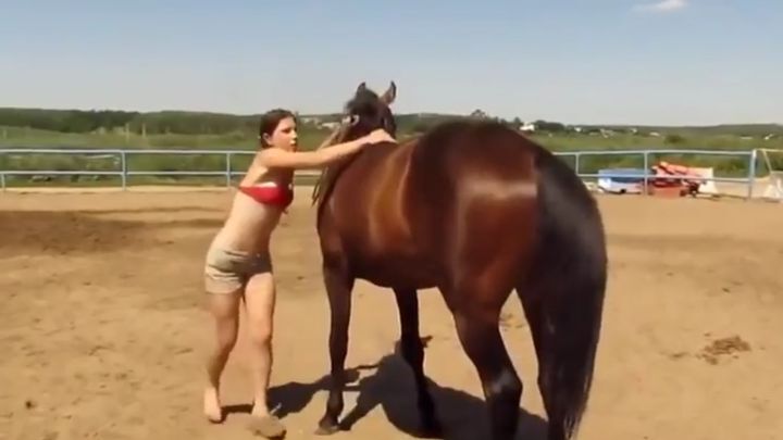 Лошадь пожалела наездницу и помогла ей на себя забраться 