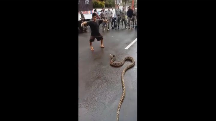 Храбрый 10-летний индонезиец укротил огромную змею, перепугавшую местных жителей 