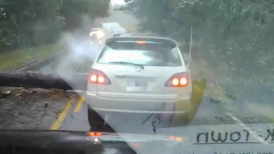 Во время урагана дерево едва не раздавило автомобиль 