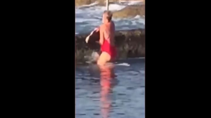 Жительница Австралии голыми руками выловила акулу из пляжного бассейна и вернула обратно в океан 