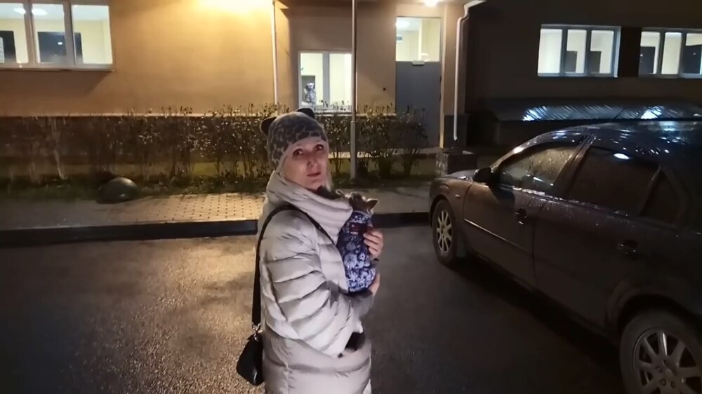 Дама с собачкой охраняет парковочное место 