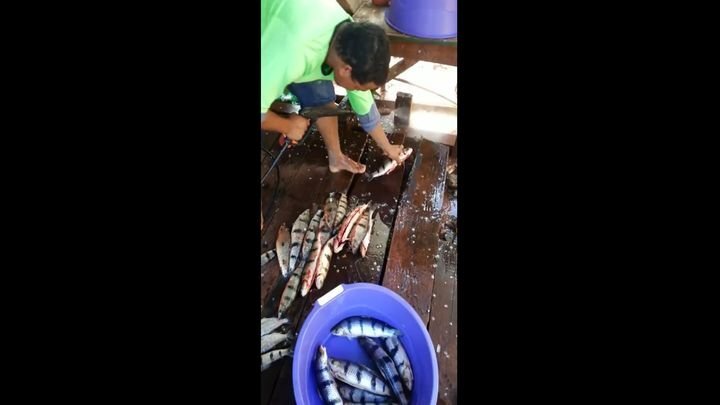 Как быстро очистить рыбу от чешуи  