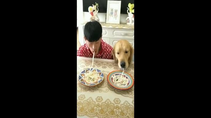Парень бросил своей собаке вызов в поедании лапши на скорость 