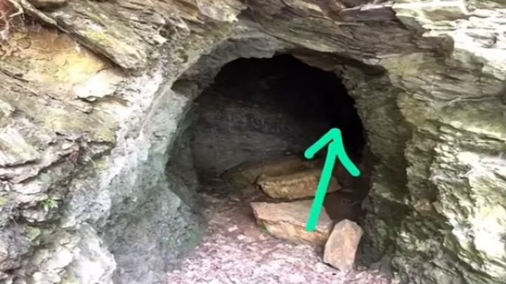 В пещере оказалась совсем не летучая мышь 