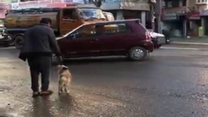 Хороший мальчик переводит своего хозяина через оживлённую дорогу в Непале 