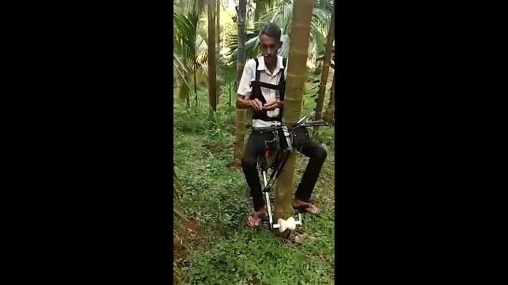 Индийский фермер собрал моторизированное устройство для подъема на деревья 
