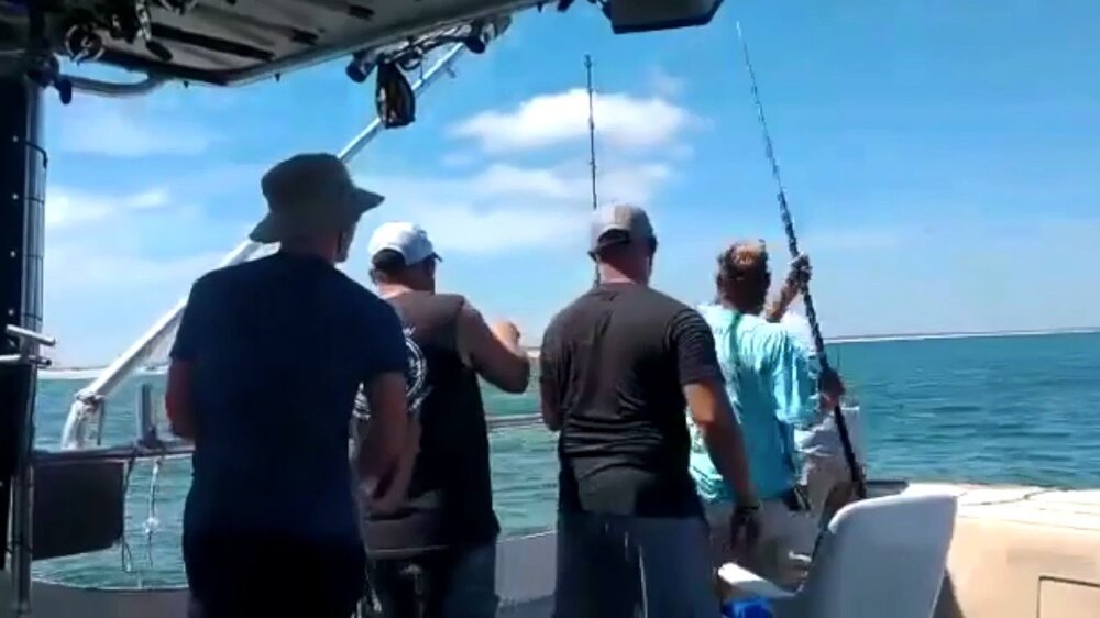 Полутораметровая акула укусила за ногу поймавшего ее рыбака 