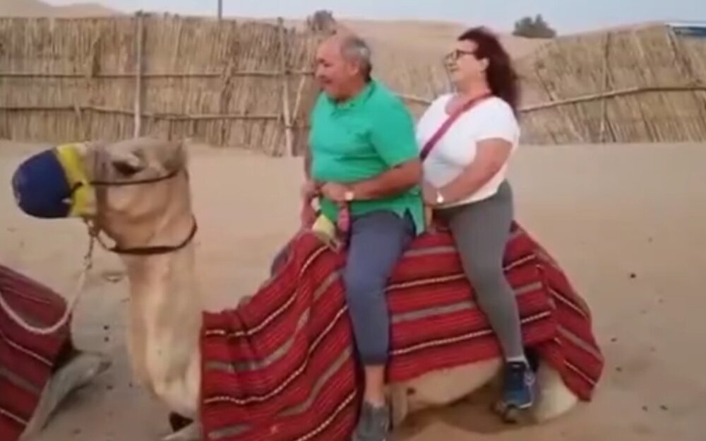 Неудачная попытка туристов прокатиться на верблюде 