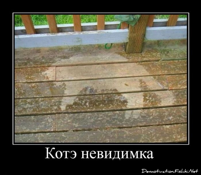Демотиватор