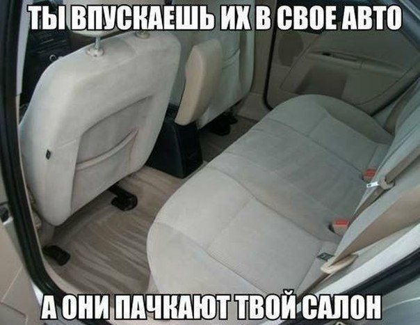 Фотоподборка автоприколов