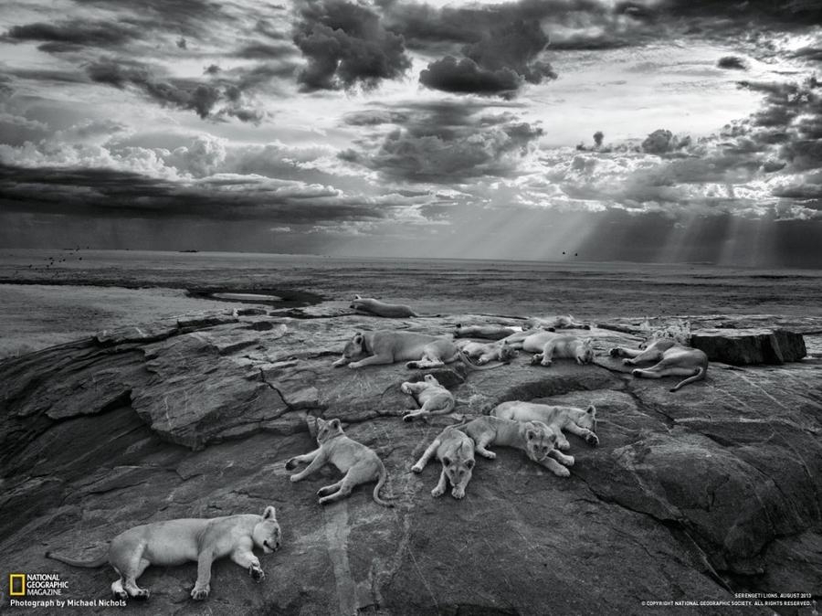 Лучшие фотографии National Geographic