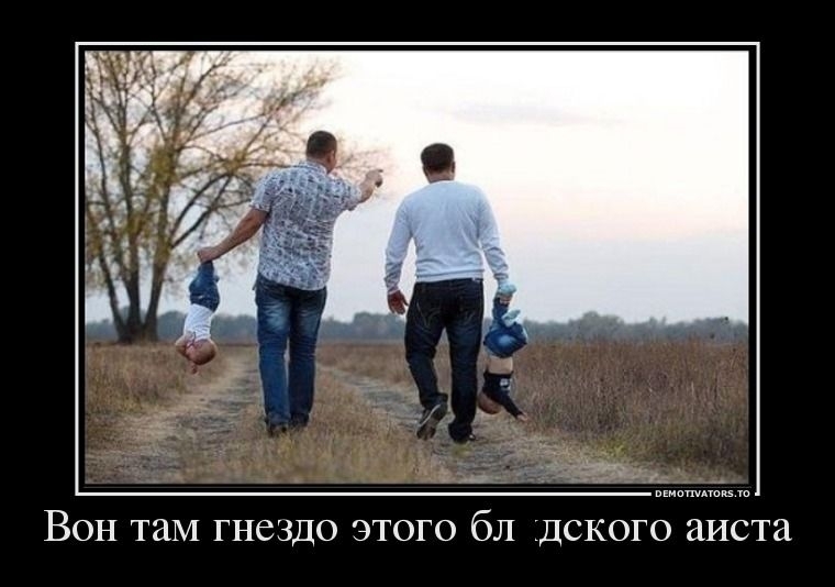 Демотиваторы