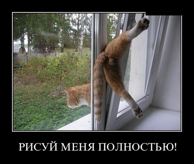Демотиваторы