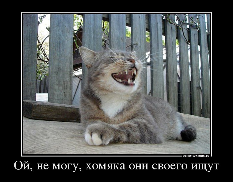 Демотиваторы