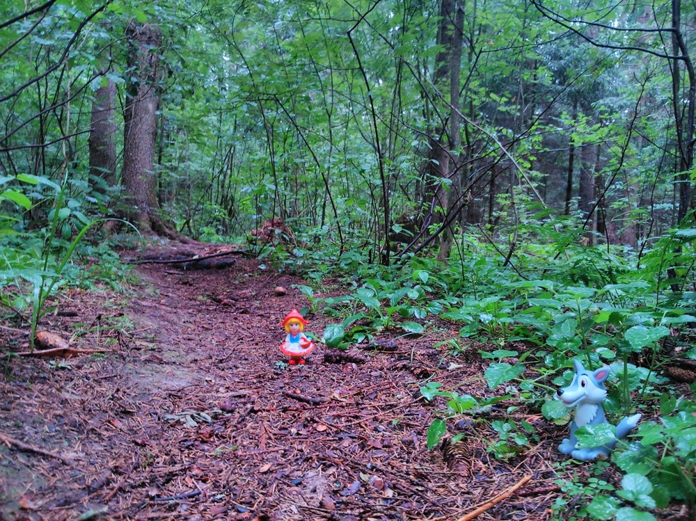 Сказки в миниатюре