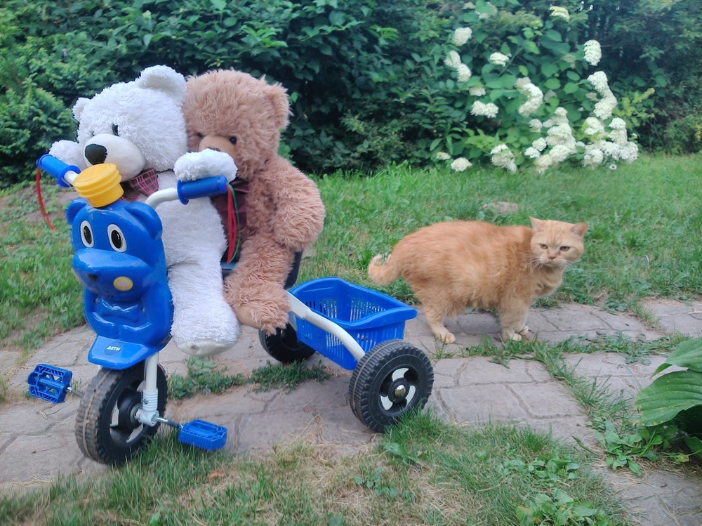 Сказки в миниатюре