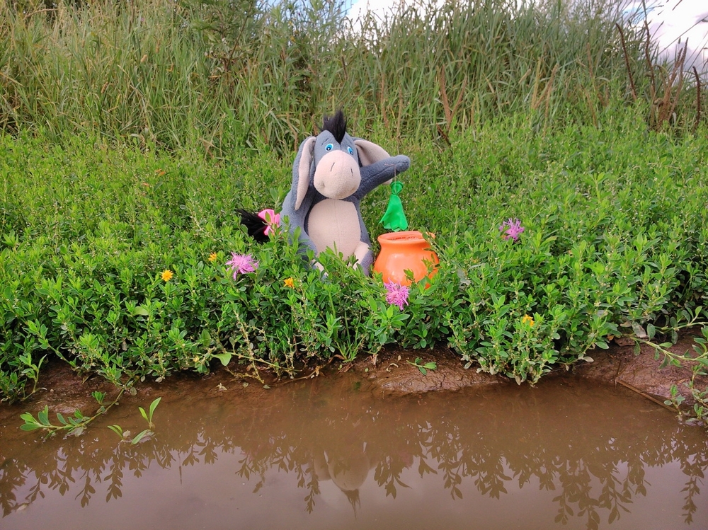 Сказки в миниатюре