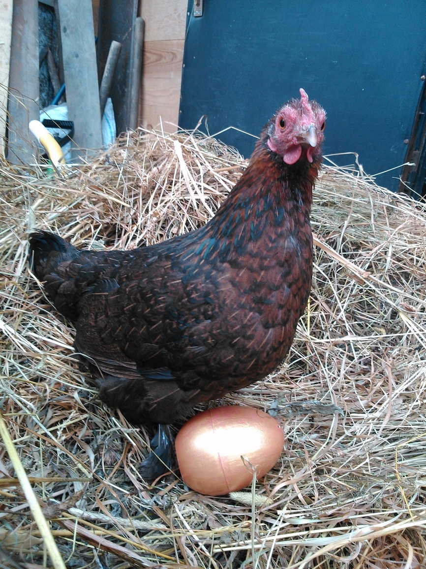 Сказки в миниатюре