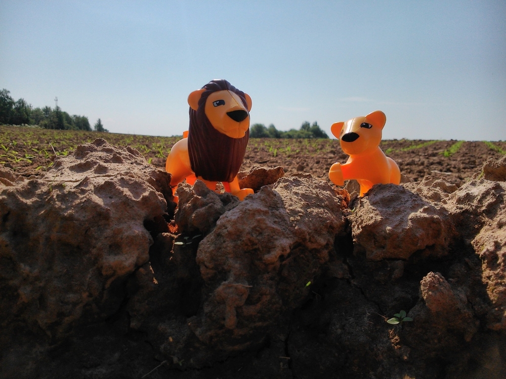 Сказки в миниатюре