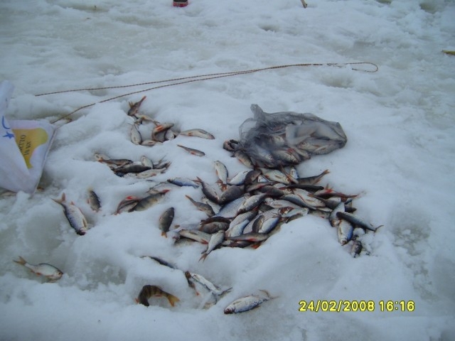 Как мы рыбачим зимой