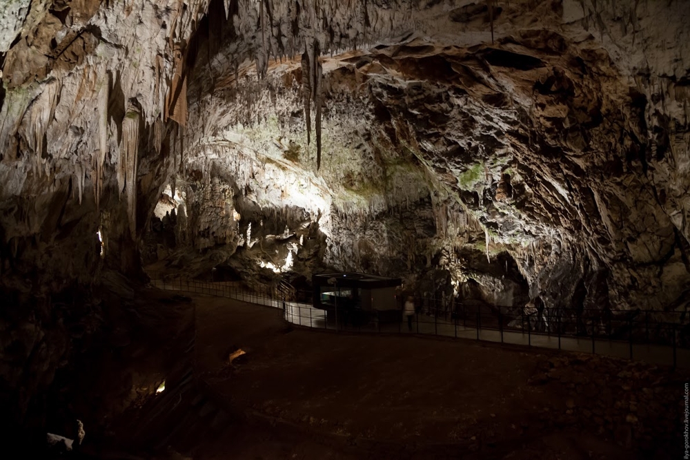 Пещера Постойнска-Яма  
