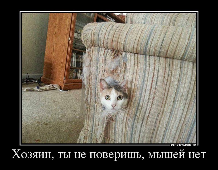 Демотиваторы (51 фото)