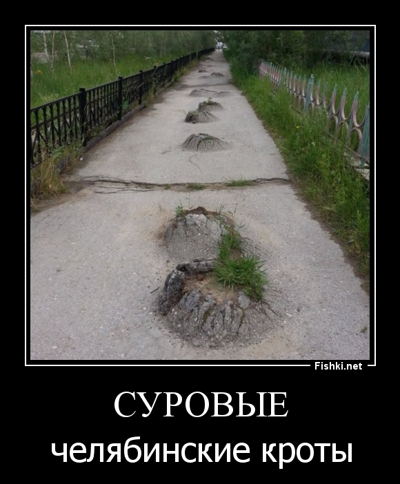 Суровые