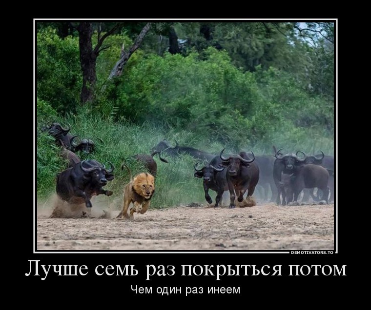 Демотиваторы