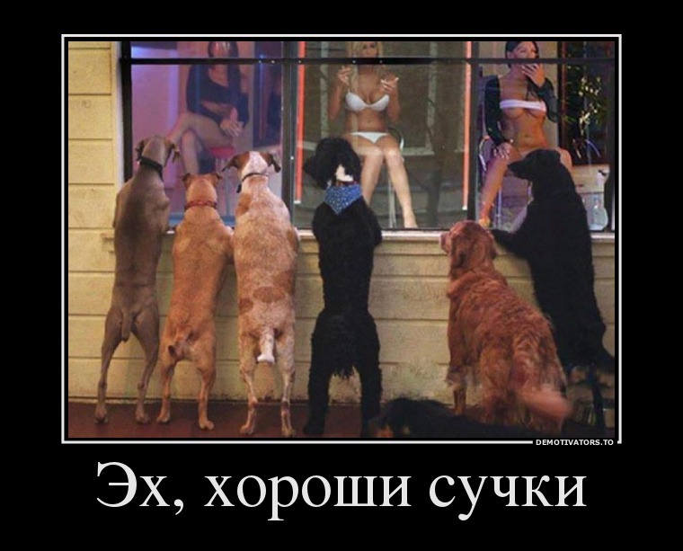 Демотиваторы