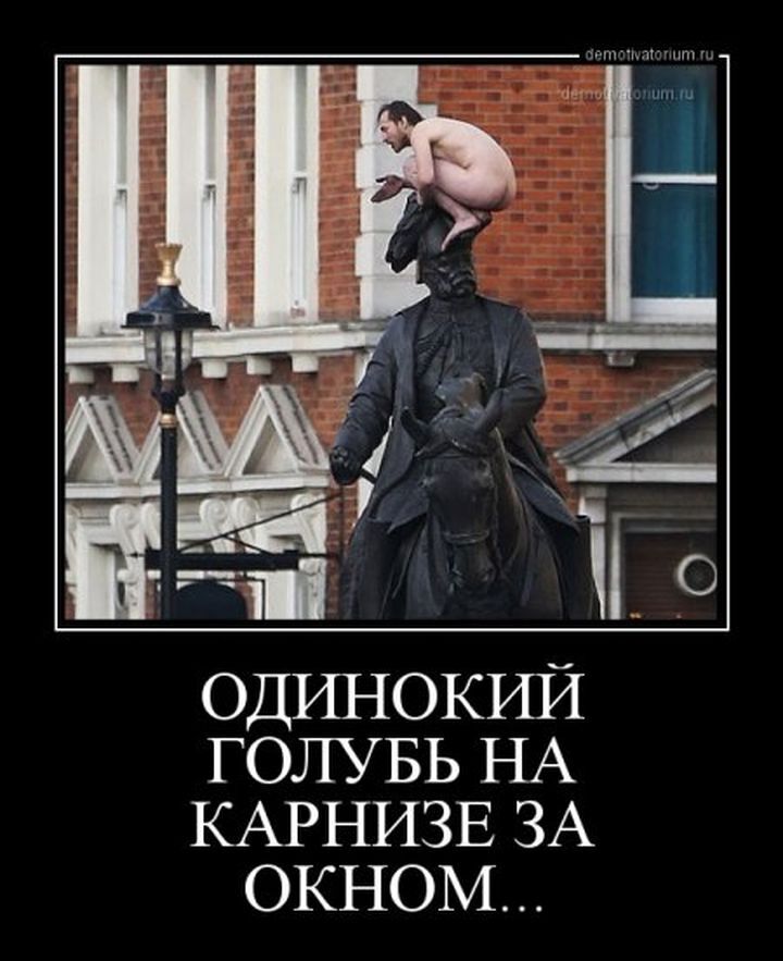 Демотиваторы