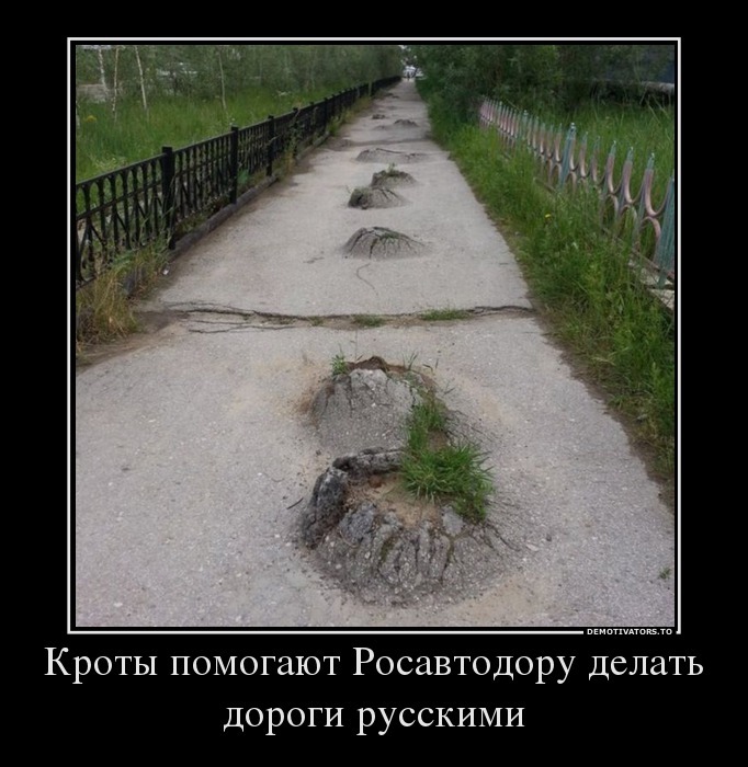 Демотиваторы