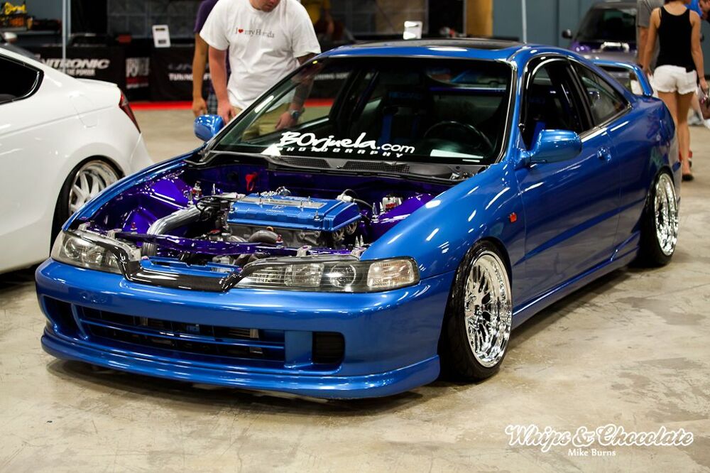 Wekfest East 2013