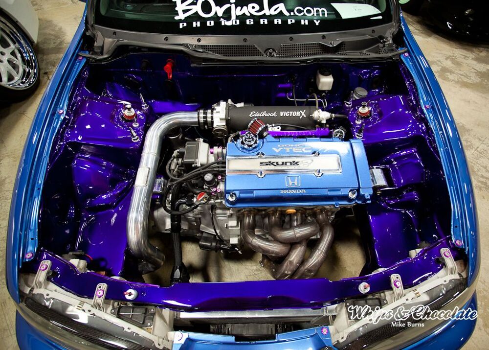 Wekfest East 2013